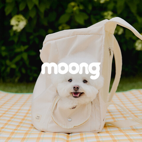 반려동물의 하루를 연구하고 더 편안한 공존을 설계합니다