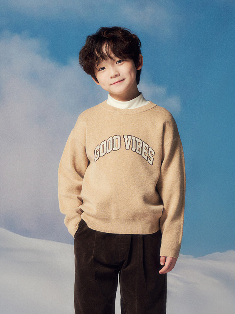 Pullover Knit
