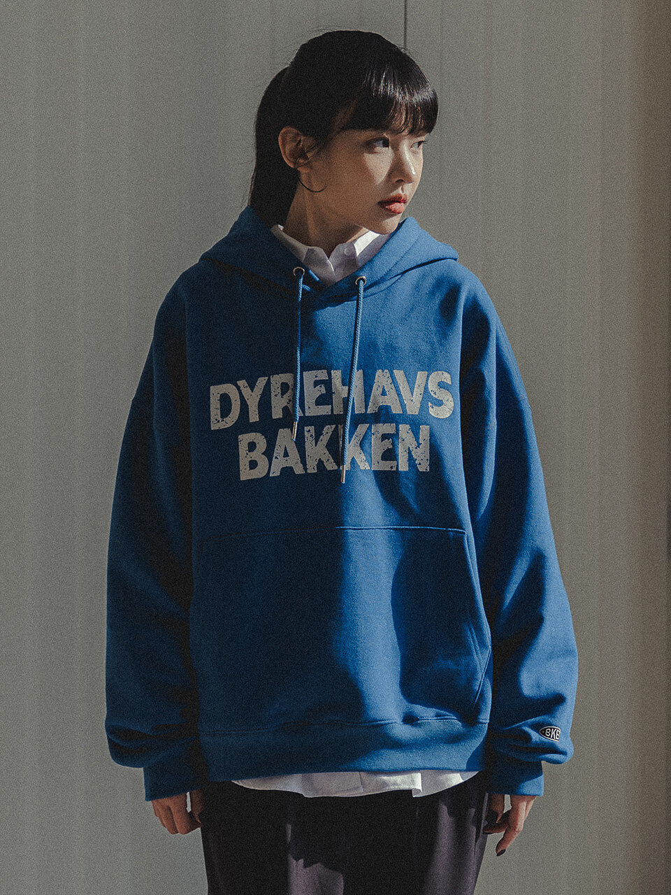 DYREHAVS BAKKEN 후디 코발트블루 BK6988