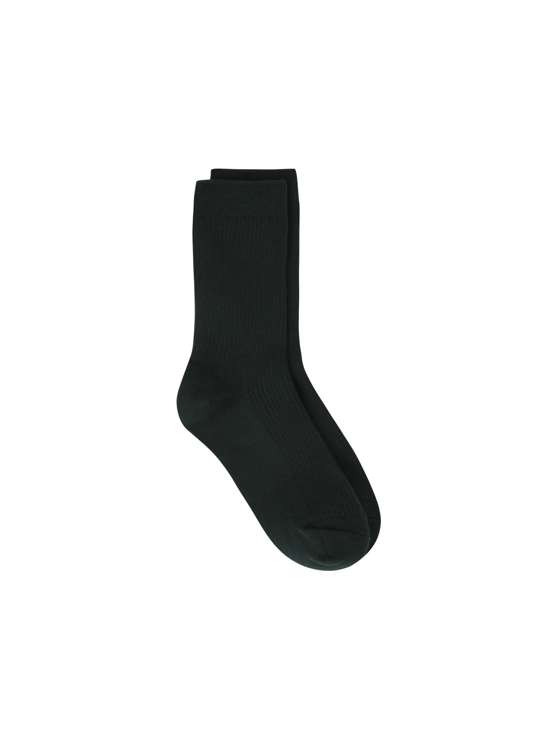 공용) 립 삭스 (컬러)